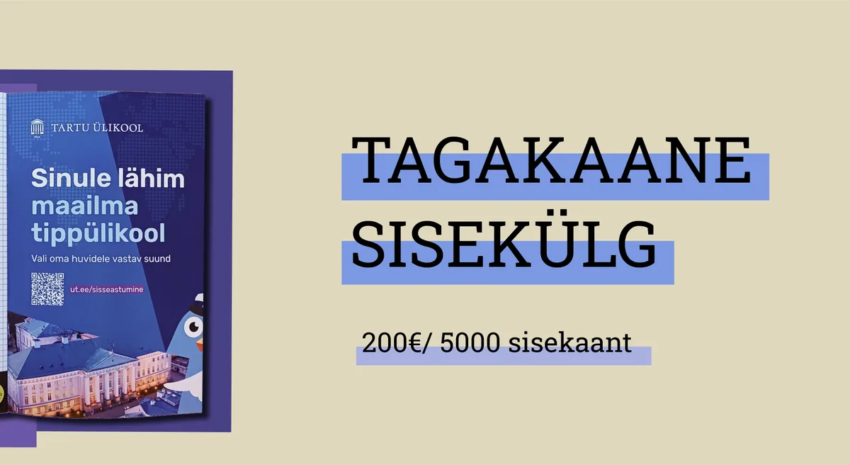 Tagakaane sisekülg hinnakiri